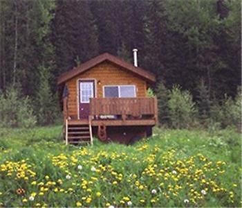 Hotel Bear Corner Adventures Bed & Bale Golden Exteriér fotografie