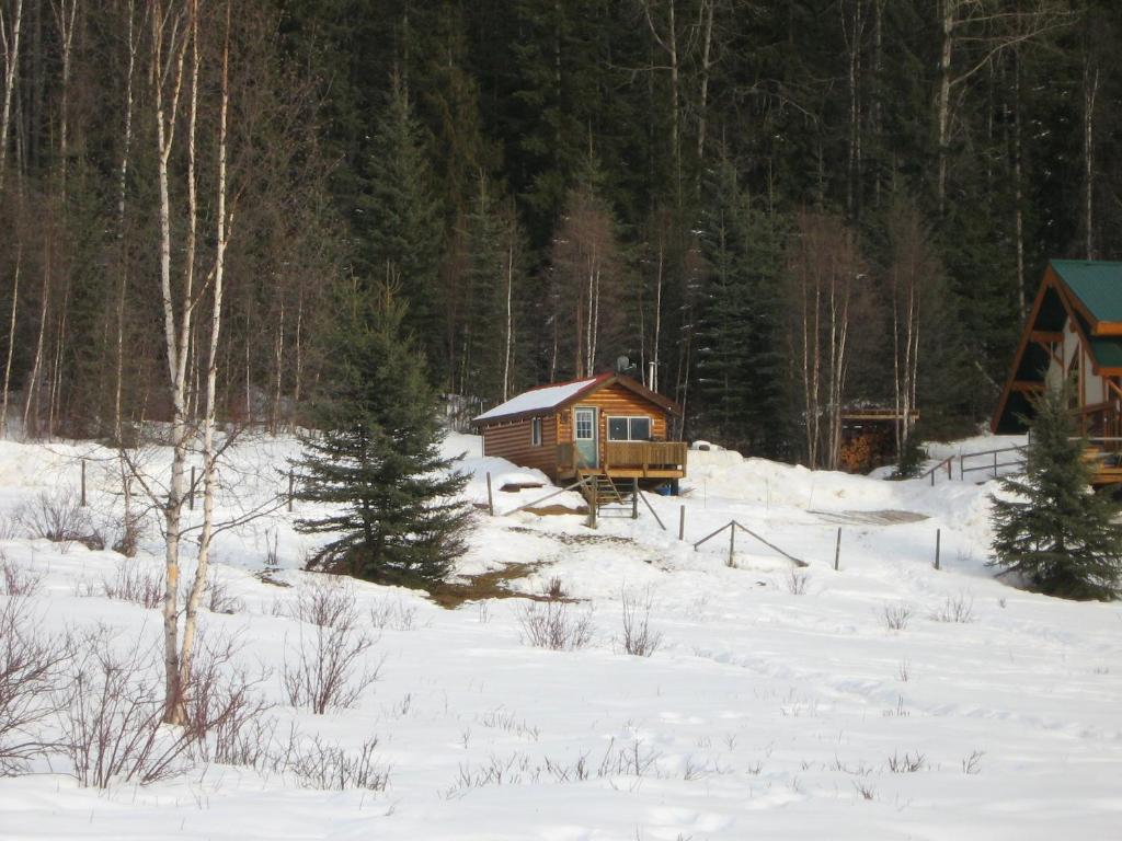 Hotel Bear Corner Adventures Bed & Bale Golden Exteriér fotografie
